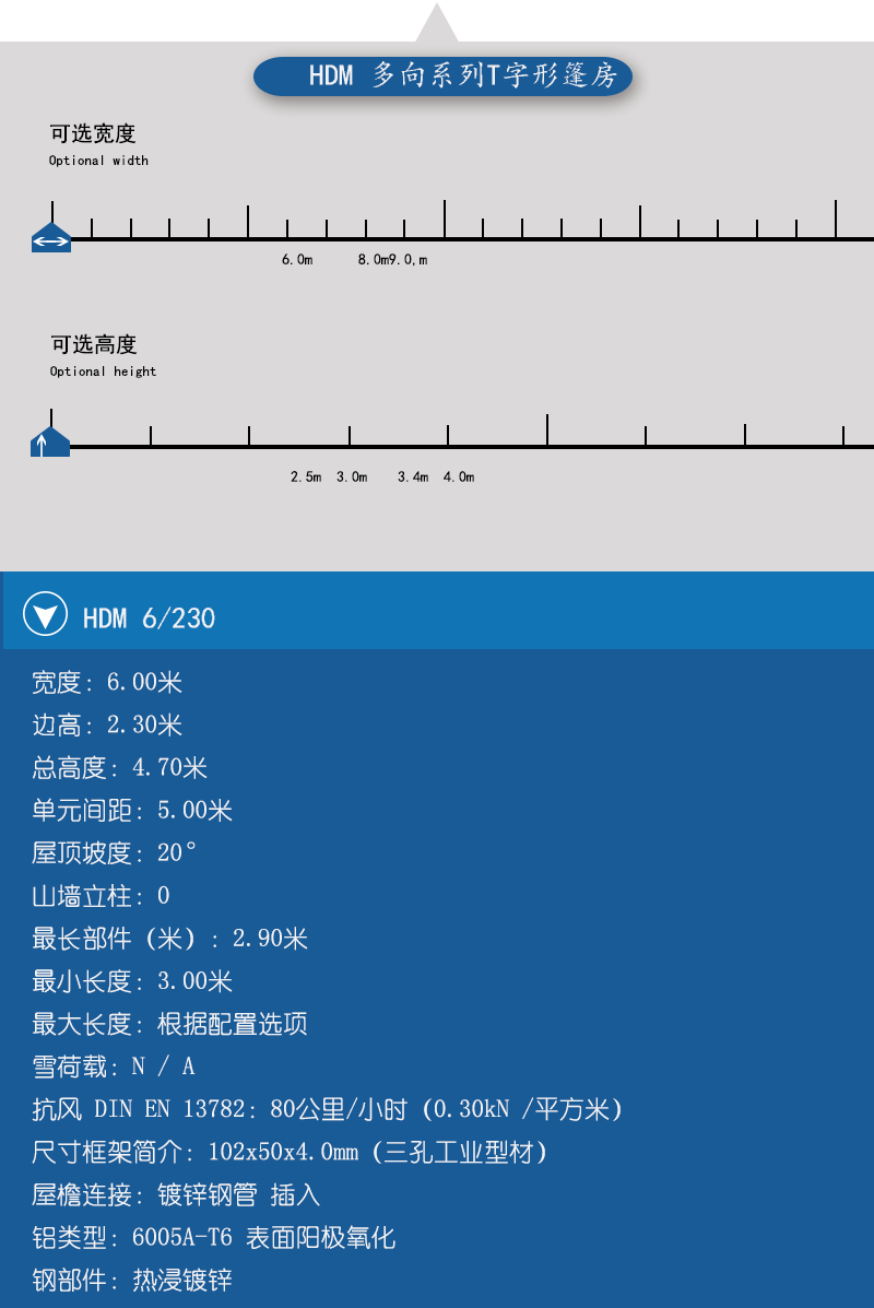 小型T字形篷房，小型篷房，華燁篷房，篷房定制